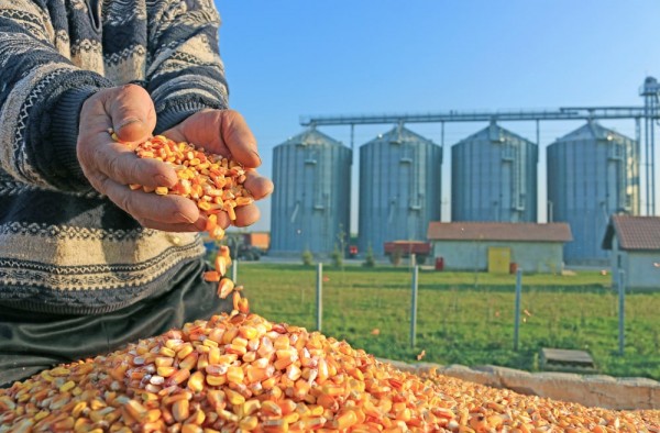 Kusto Group's agricultural division, Kusto Agro, is operating in Ukraine and Kazakhstan. Kusto Group's agricultural division, Kusto Agro, is operating in Ukraine and Kazakhstan.