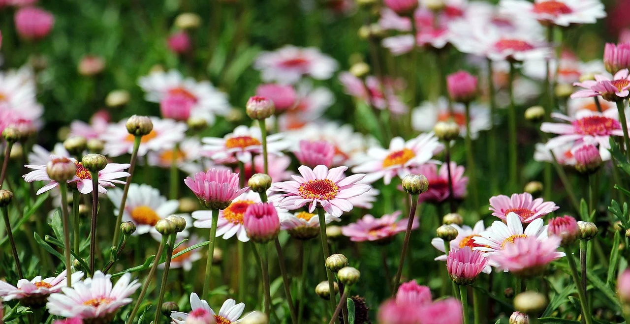 The Secret to a Well Kept Garden : Nature : Science World Report