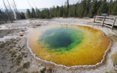 Yellowstone