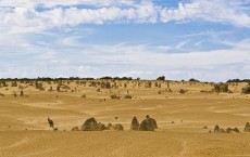 Western Australian Desert