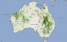 A Summer of Rain Paints Eastern Australia Green