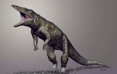 Carnufex carolinensis