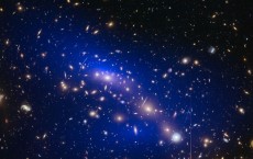 Galaxy Cluster