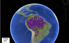 Hybrid Global Forest Map