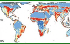 Biodiversity Map