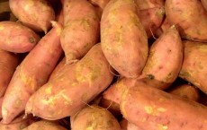 Sweet Potato