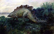 Stegosaurus