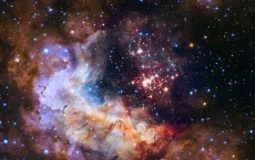 Westerlund 2