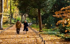 Elderly Couple