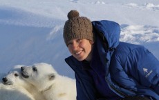 Greenland Polar Bears