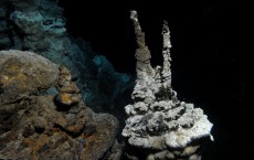 Hydrothermal Vent