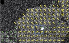 Monolayer Organic Thin Film STEM