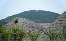 Hunter-Gatherer Huts