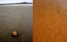 Sailing Stones