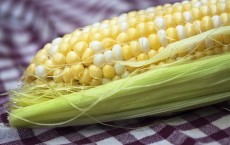 Corn