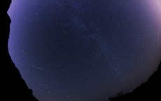 Perseids