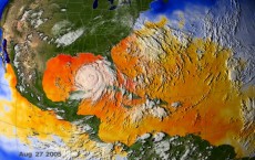 Ocean Surface Temperatures