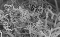 Carbon Nanofibers