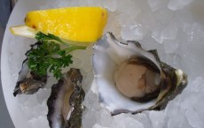 oysters 