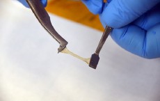 Self-Healing Polymer