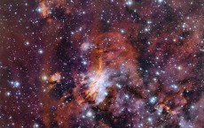 Prawn Nebula