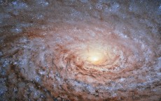 Sunflower Galaxy