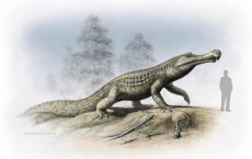 Sarcosuchus