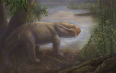 Lystrosaurus 