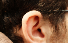 Ancient Human Ear-Orienting System Finds Clues To Hearing Deficits In Infants