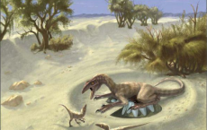 Dinosaurs Were Able To Elevate Their Body Temperature. 