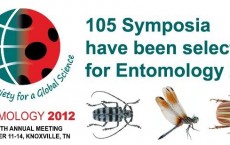 Entomology