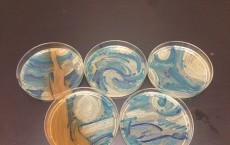 Starry Night Petri Dish