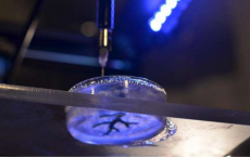 Rebuilding The Human Heart Through Advanced 3-D Printing