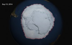 Antarctic