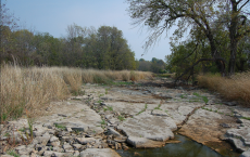 Researchers Connect El Niño Events And Severe Drought 