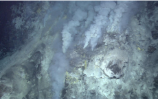 Scientists Find Carbon-Removing Properties In Deep Sea