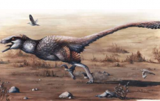 A New Giant Raptor Was Discovered In South Dakota 