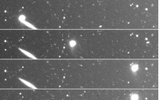 Main-Belt Asteroid 493 Griseldis Shows Signs Of Collision 