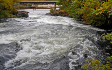 Fast-Moving Rivers Release High Levels Of Carbon 