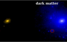 Highest Concentrations Of Dark Matter Dominates Nearby Dwarf Galaxy