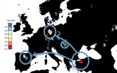 Human DNA Spread