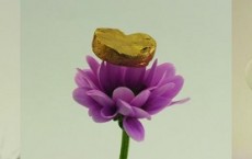 Gold Aerogel