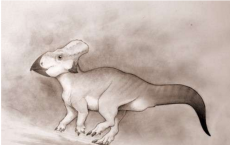 horned dinosaur