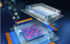 Reusable acoustic tweezers device has disposable microfluidic laboratory for disease diagnosis and cell manipulation 