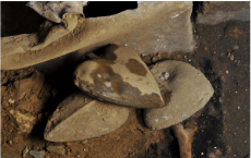  Archaeological Heart Has Oldest Evidence Of Heart Disease 