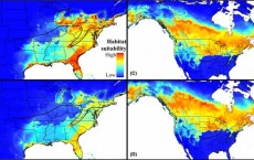 Bird Distribution