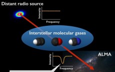 Radio Spectra