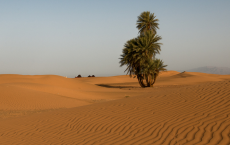 Ancient River Network Once Occupied Sahara Desert 