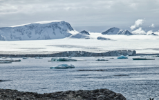 Arsenic From Chilean Mines Found In Antarctica 