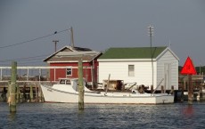 Tangier Island